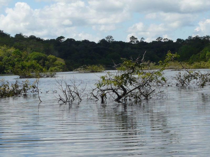 flood-level-01.JPG