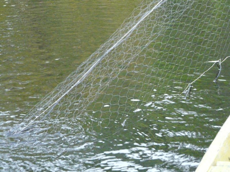 no-fish-today.JPG