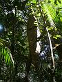ant-nest-02
