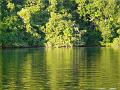 reflection-green-02