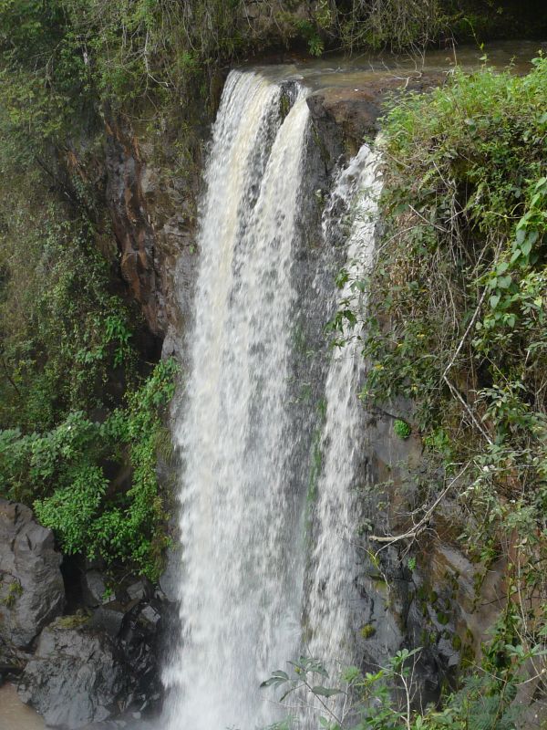 Upper-trail-02.JPG