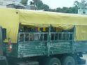 truck-bus-01