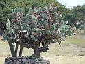 cactus-03