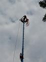 voladores-01