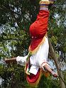 voladores-14